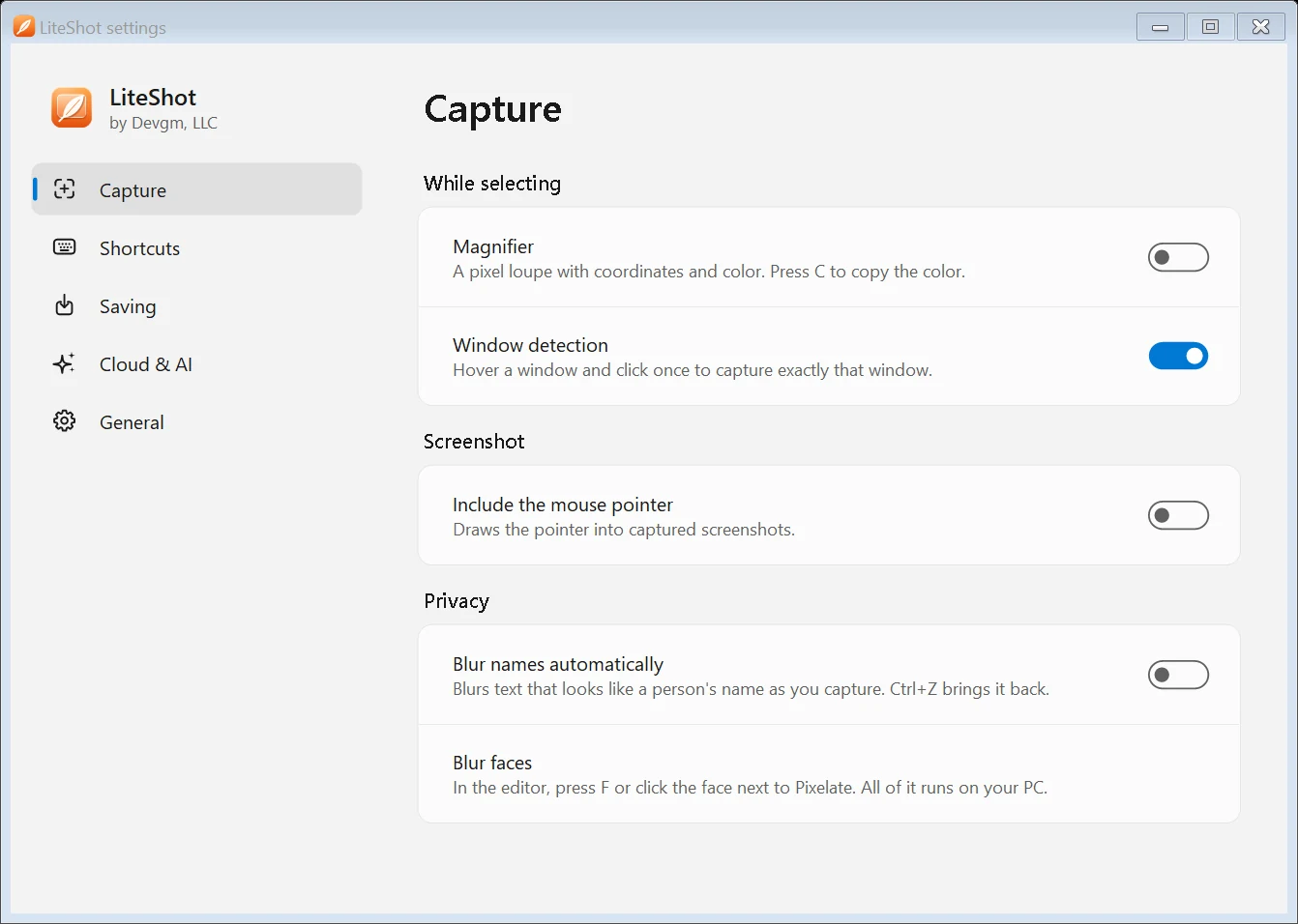 LiteShot settings on the Capture page, with switches for the magnifier, window detection, the mouse pointer and blurring names automatically.